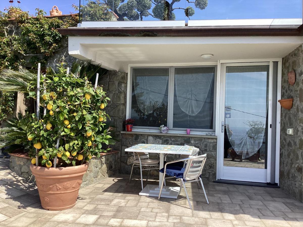Apartment L'uliveta