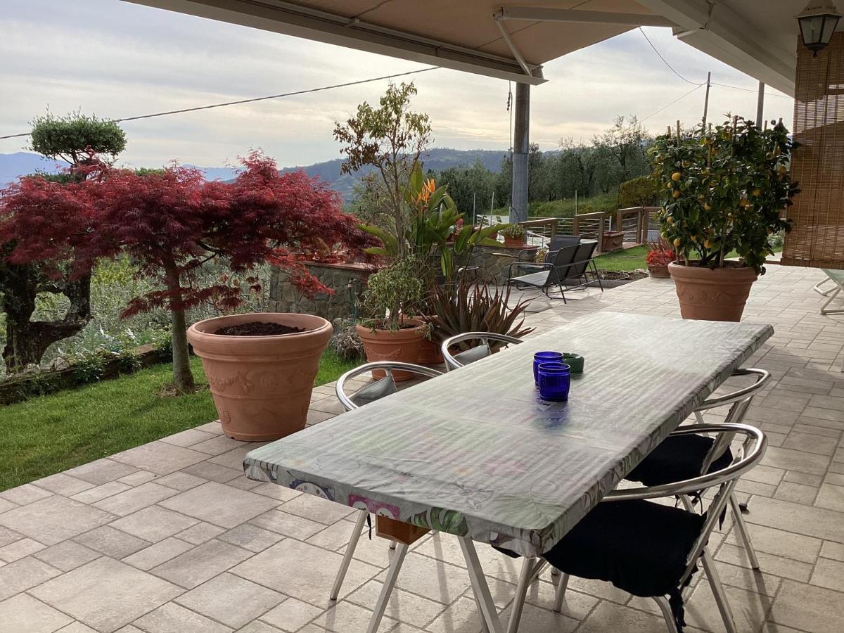Apartment L'uliveta