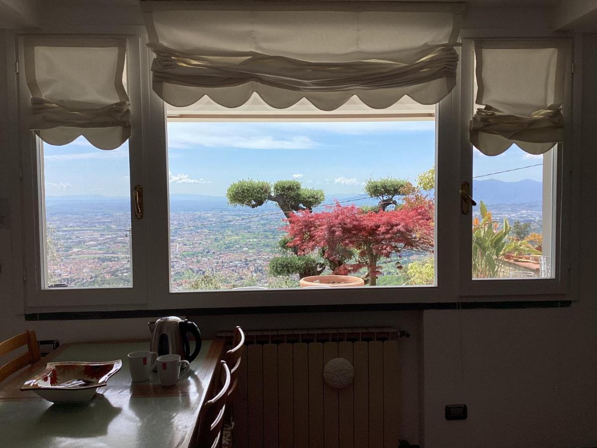 Apartment L'uliveta Montecatini Terme