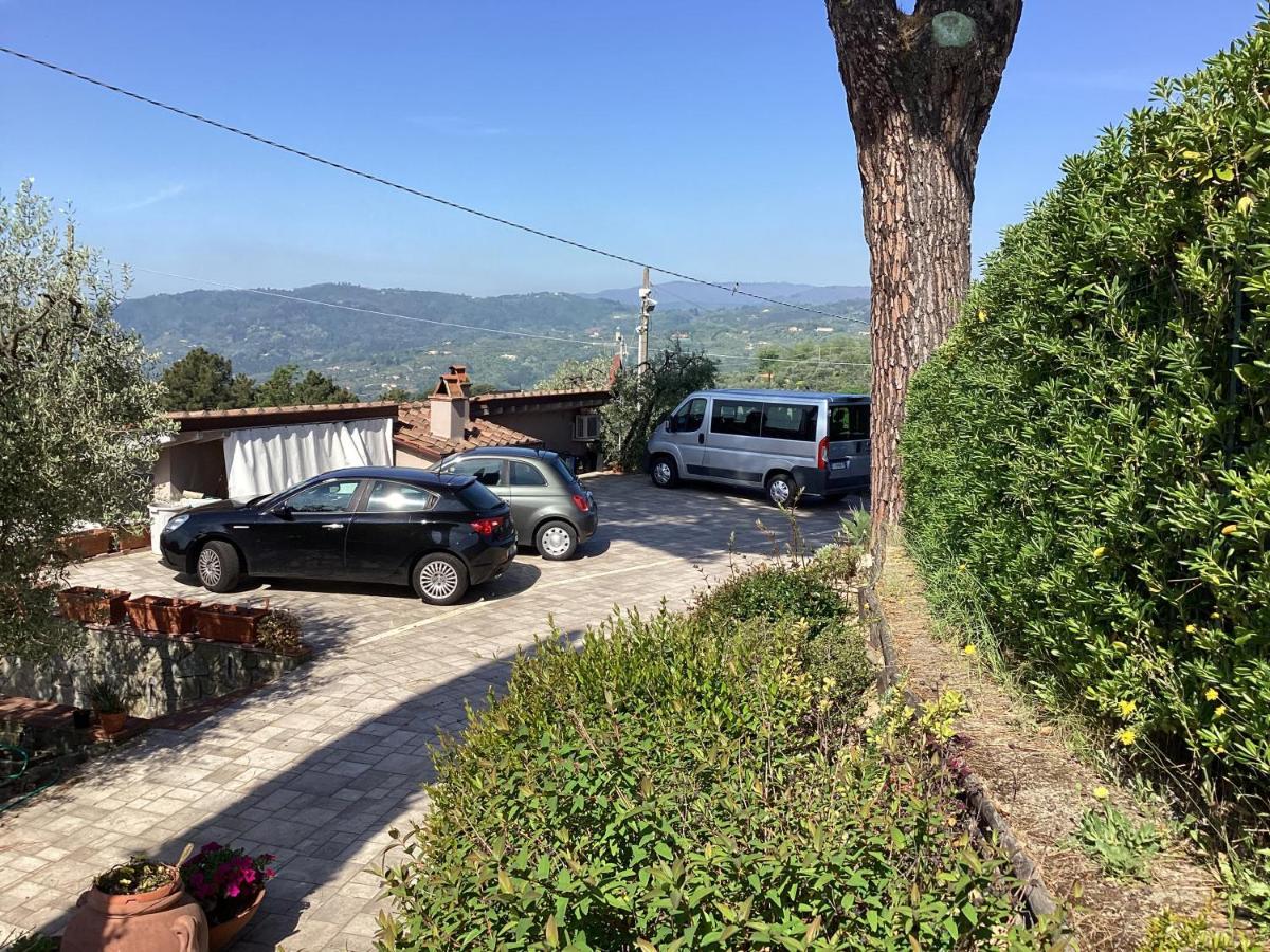 L'uliveta * Montecatini Terme