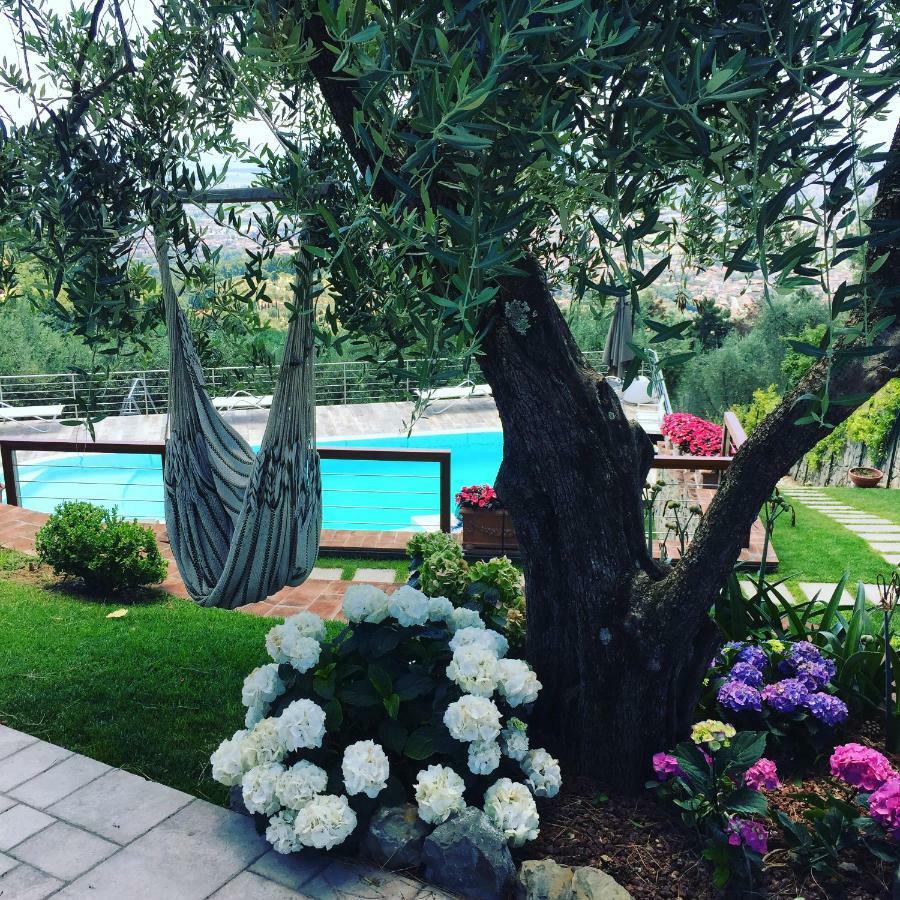 L'uliveta Apartment